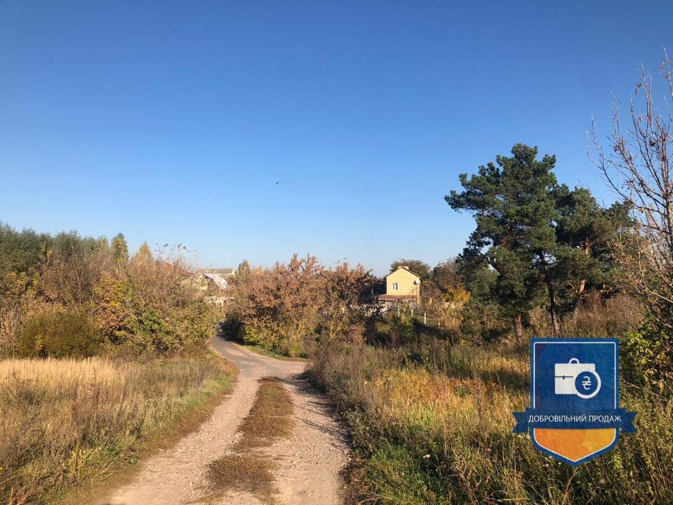 Дві зем. ділянки у с. Княжичі Київської обл. - Photo