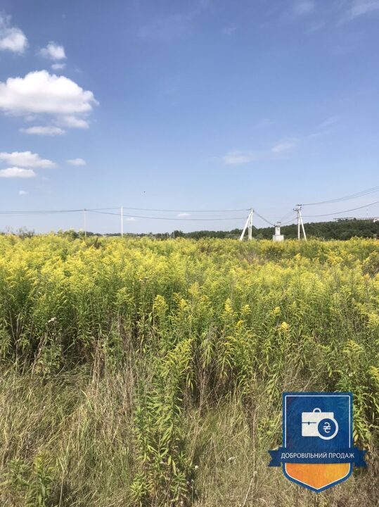 Земельна ділянка у Тернопільській обл - Photo