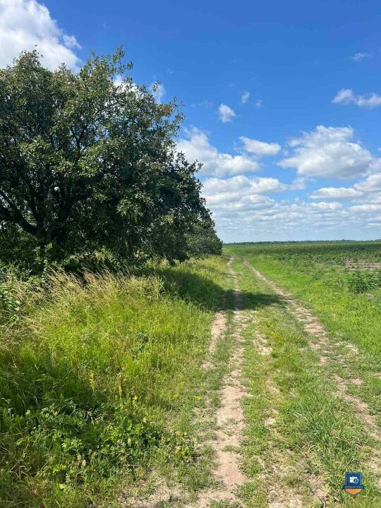 Редукціон. Зем. ділянка (0,12 га) у Київській обл - Photo